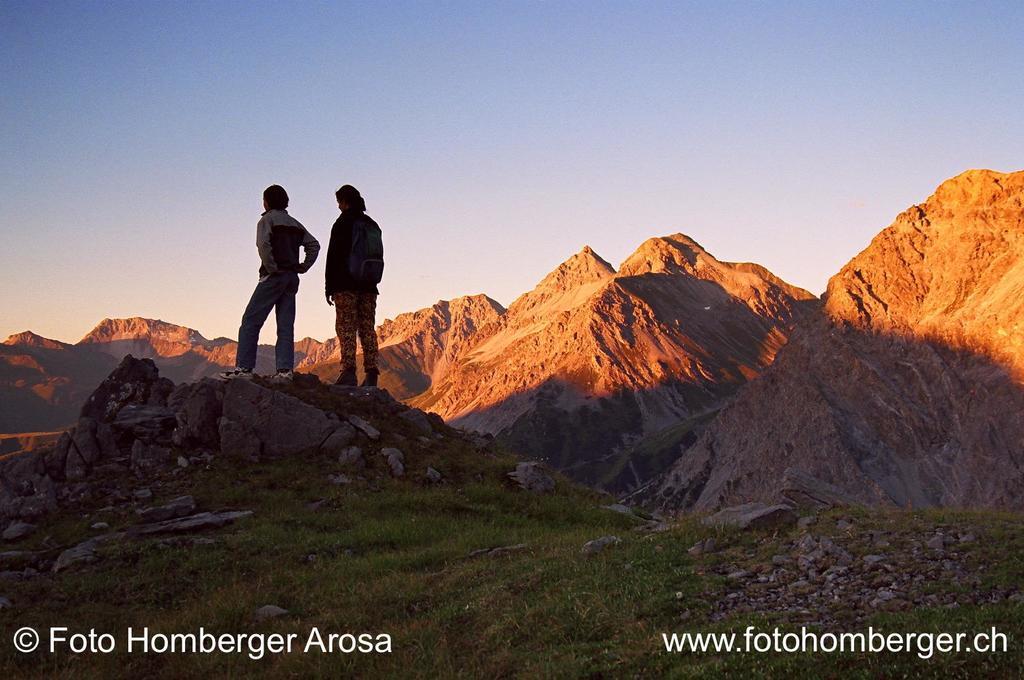Vetter Arosa