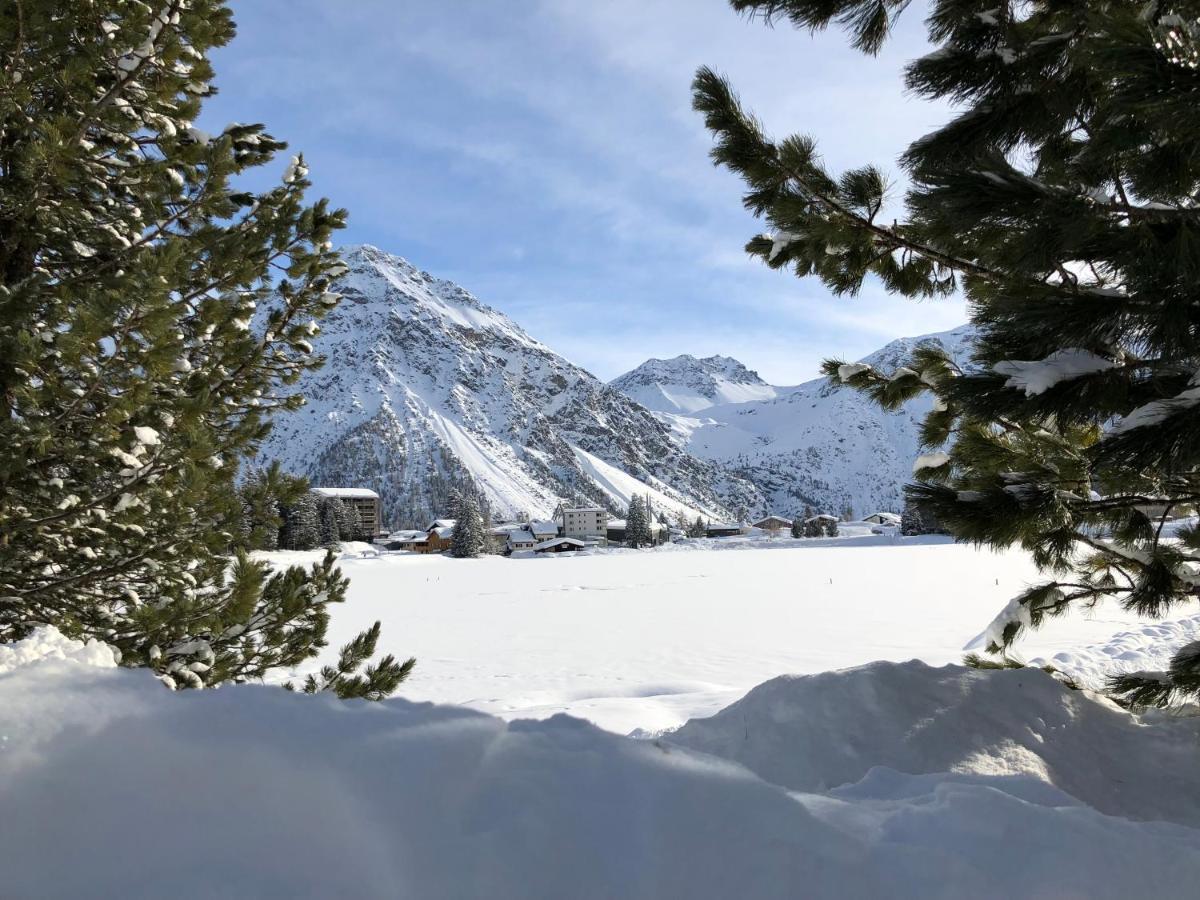 Vetter Arosa