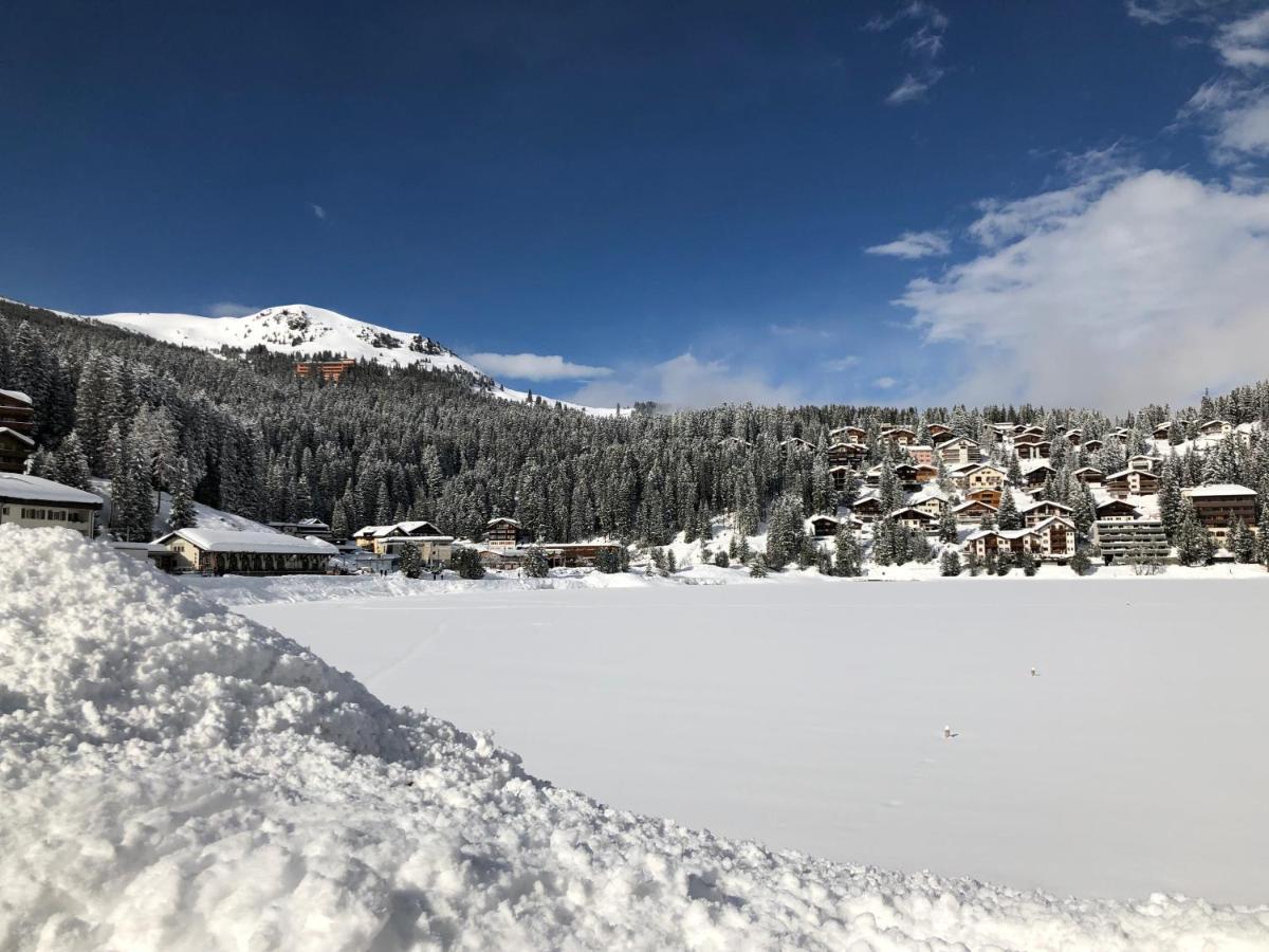 Vetter Arosa