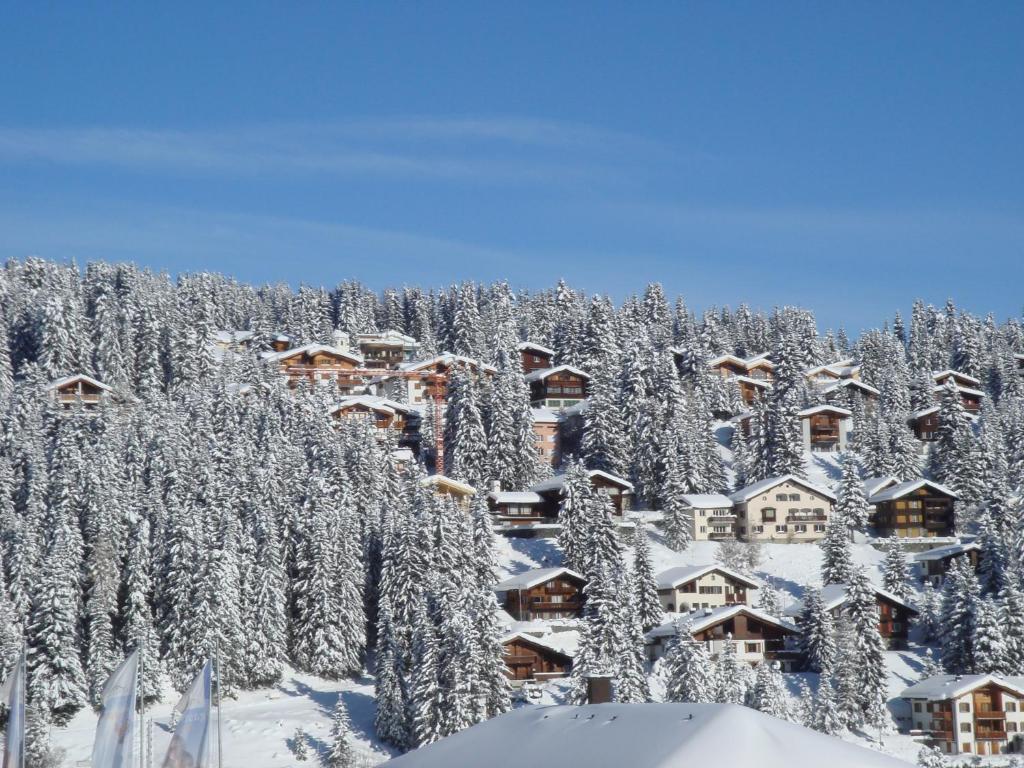 Hotel Vetter 3*